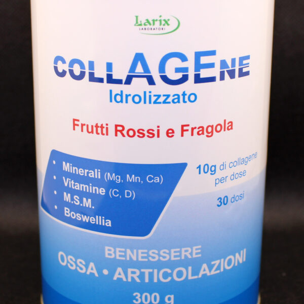 Collagene Benessere Ossa e Articolazioni